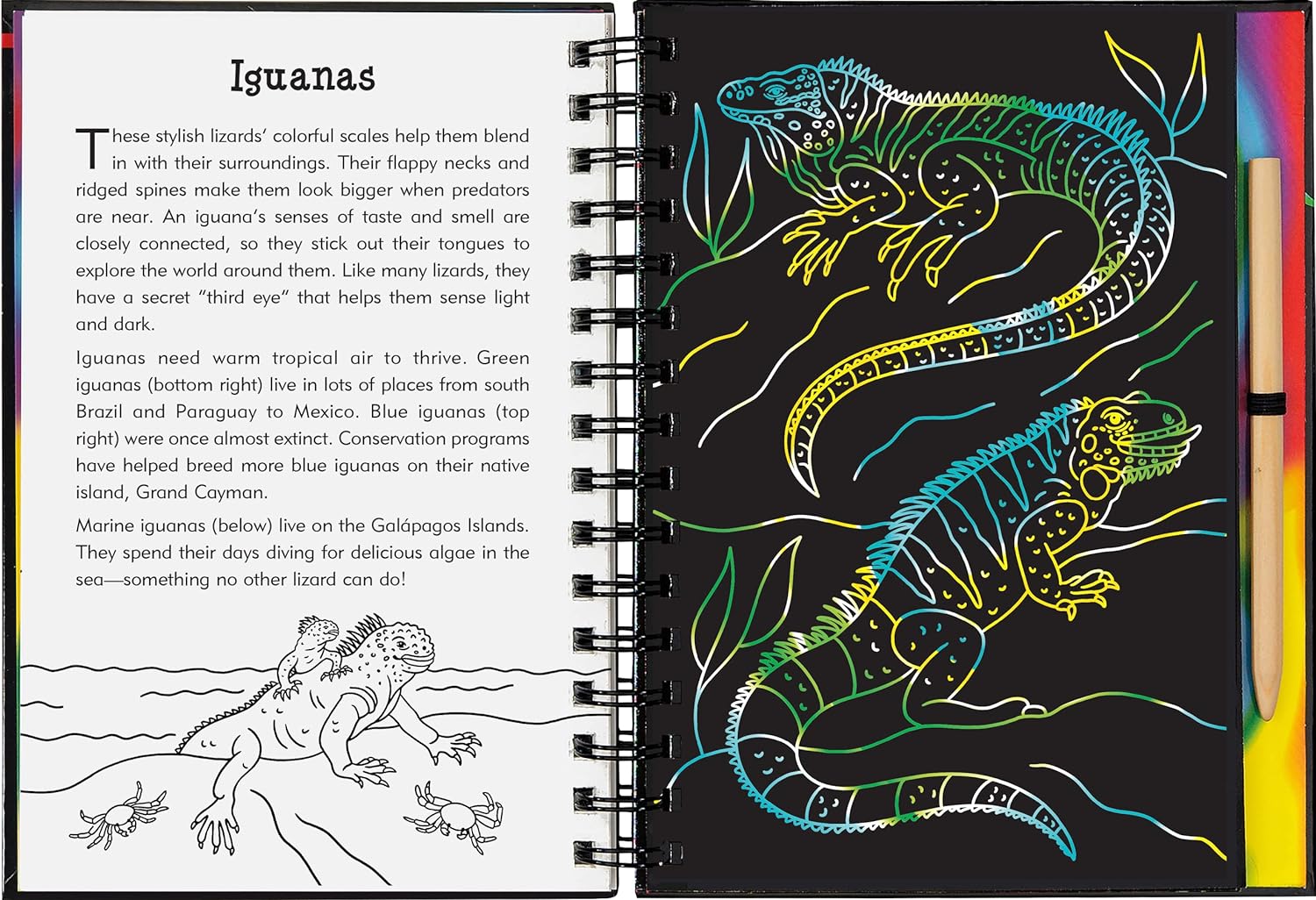 Scratch & Sketch Reptiles & Amphibians by Peter Pauper Press 9781441341310