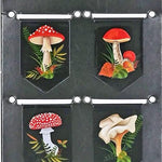Mushrooms I-Clips by Peter Pauper Press 9781441341624