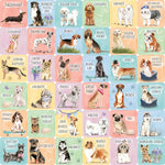 Dogs Memory Match Game (Set Of 72 Cards) - Peter Pauper Press 9781441342232_1