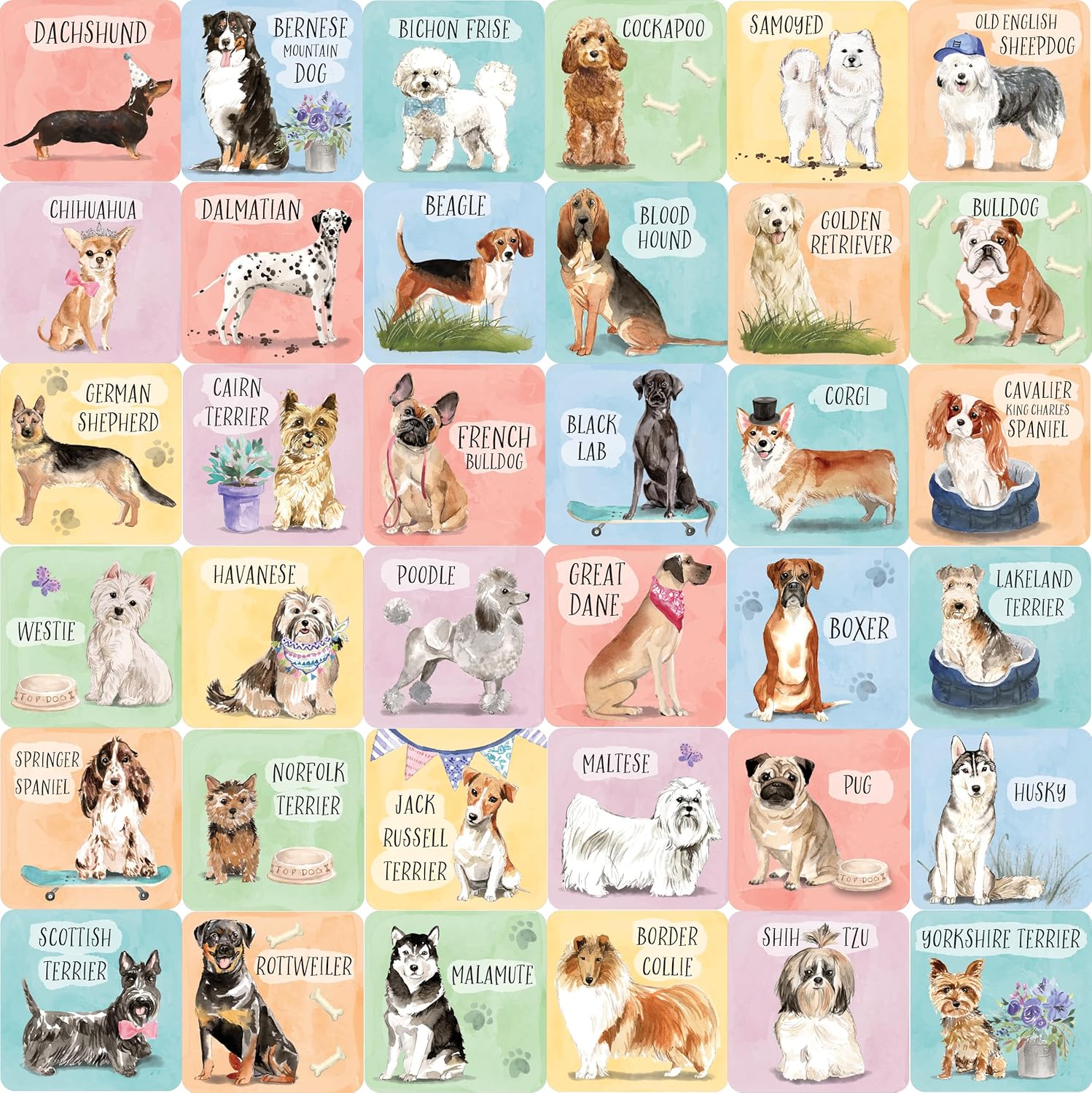 Dogs Memory Match Game (Set Of 72 Cards) - Peter Pauper Press 9781441342232_1