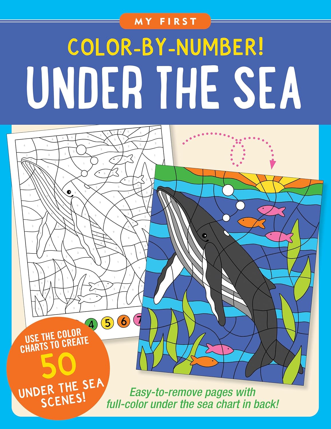 Under The Sea Color-By-Number! by Peter Pauper Press 9781441343697