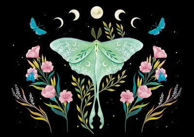 Luna Moth Note Cards 9781441343857
