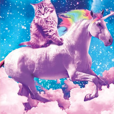 Unicorns & Kittens Bookmark 9781441344205