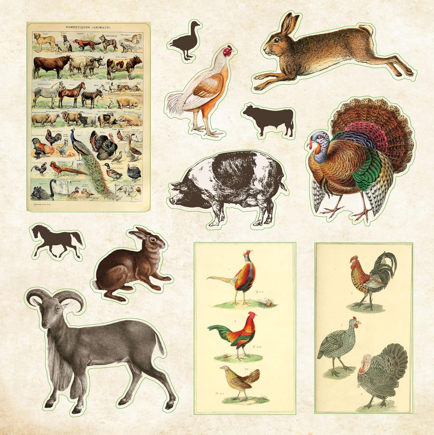 Zoological Ephemera Sticker Book by Peter Pauper Press 9781441344496_4