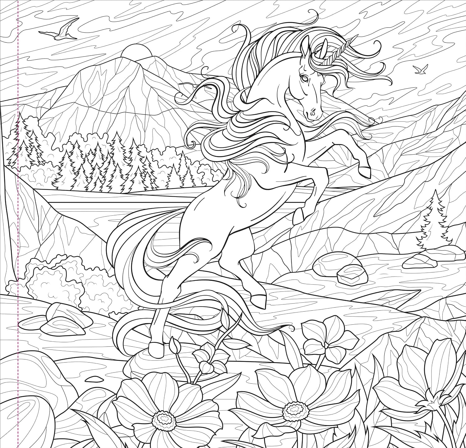 Enchanted Kingdom Adult Coloring Book by Peter Pauper Press, Inc. 9781441344694_2