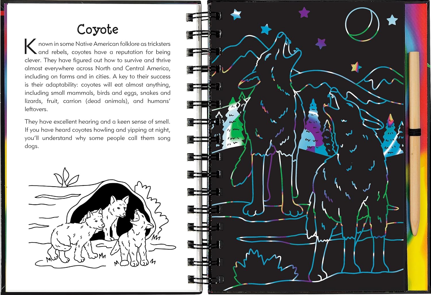 Scratch & Sketch Nocturnal Animals by Peter Pauper Press 9781441344717_1