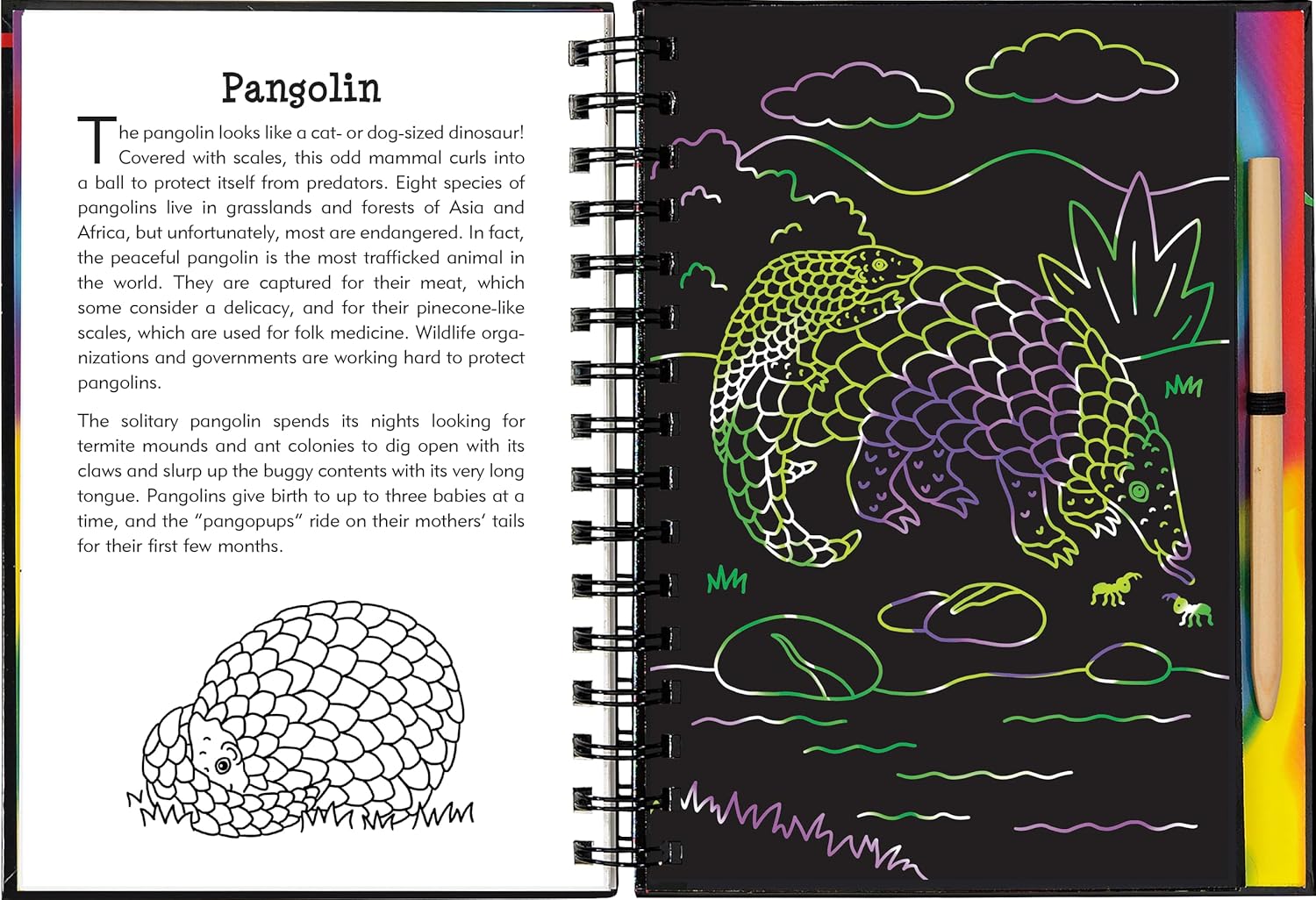 Scratch & Sketch Nocturnal Animals by Peter Pauper Press 9781441344717_2
