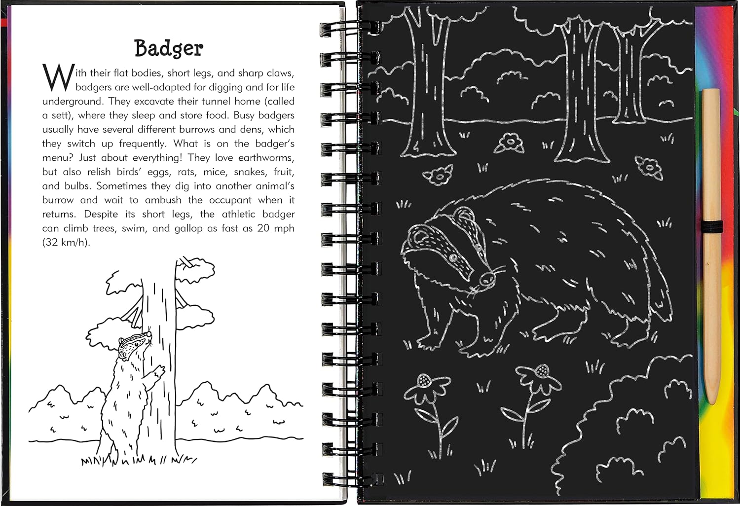 Scratch & Sketch Nocturnal Animals by Peter Pauper Press 9781441344717_3