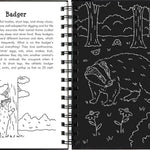 Scratch & Sketch Nocturnal Animals by Peter Pauper Press 9781441344717_3