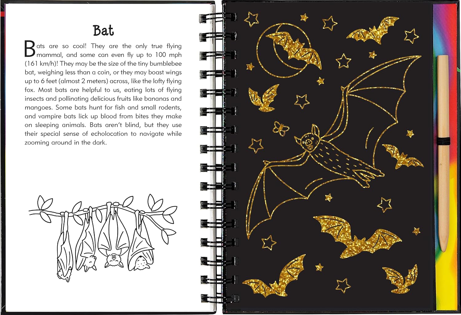 Scratch & Sketch Nocturnal Animals by Peter Pauper Press 9781441344717_4