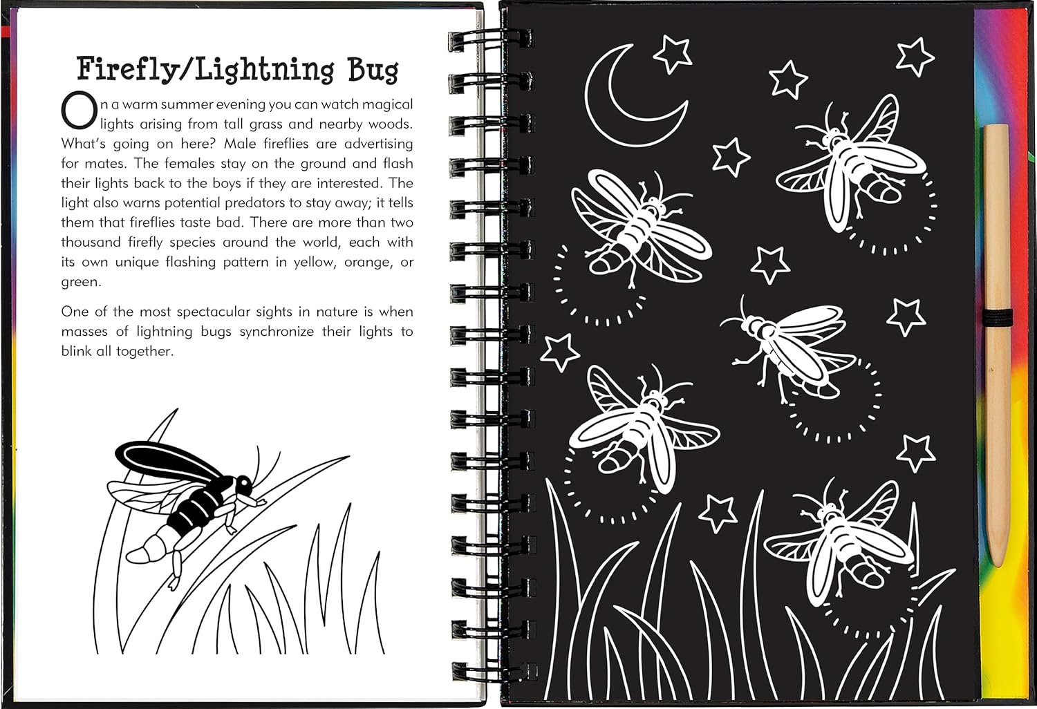 Scratch & Sketch Nocturnal Animals by Peter Pauper Press 9781441344717_5
