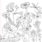 Wildflowers Adult Coloring Book by Peter Pauper Press, Inc. 9781441344960_1