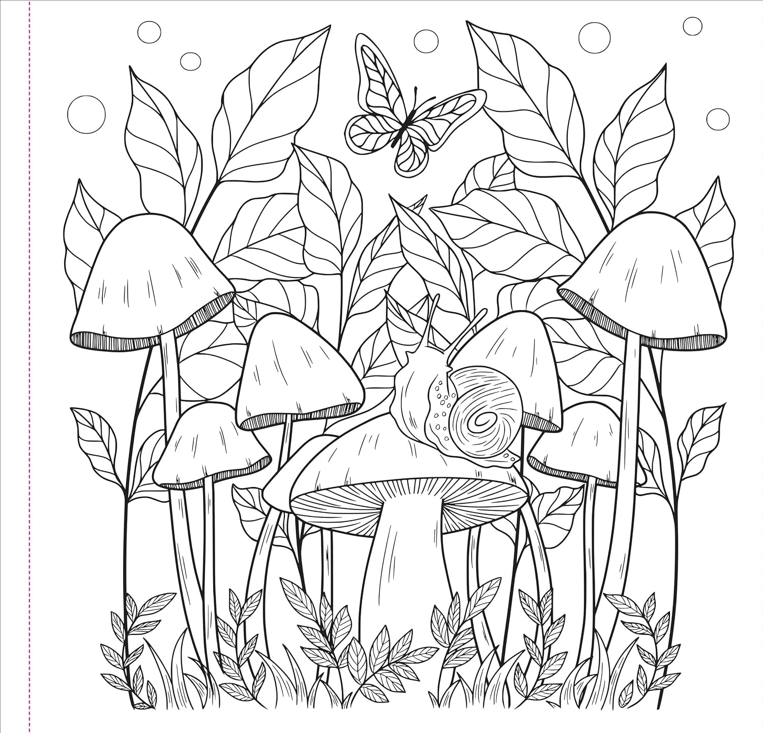 Mushrooms Adult Coloring Book by Peter Pauper Press, Inc. 9781441345165_2