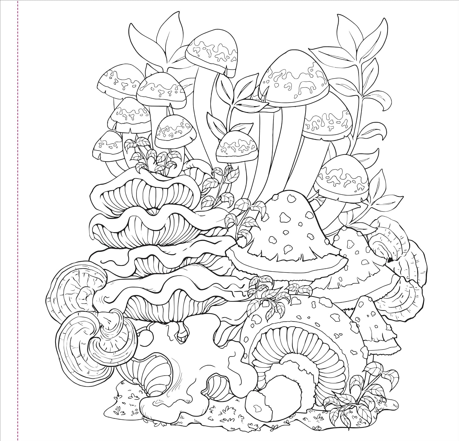Mushrooms Adult Coloring Book by Peter Pauper Press, Inc. 9781441345165_3