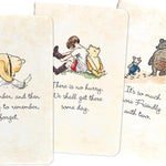 Winnie-The-Pooh Jotter Notebooks Set - Peter Pauper Press 9781441346513
