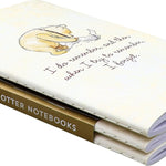 Winnie-The-Pooh Jotter Notebooks Set - Peter Pauper Press 9781441346513_1