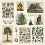 Enchanted Forest Sticker Book by Peter Pauper Press 20 9781441347039_3