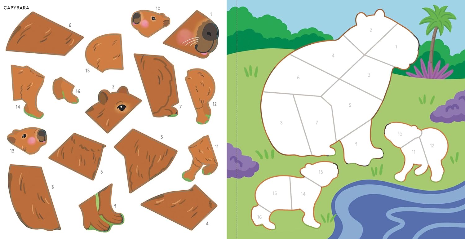 Rain Forest Animals My First Color-By-Sticker Book by Peter Pauper Press 20 9781441347091_5