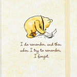 2027 Winnie-the-Pooh Compact Weekly Planner (16 months, Sept 2026 to Dec 2027) 20 9781441347534