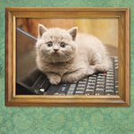I Could Pee On This: And Other Poems By Cats by Marciuliano. Franceso 9781452110585_5