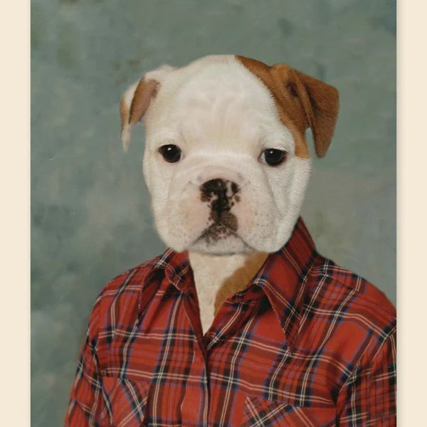 Picture Day Notecards 50 9781452118390_1