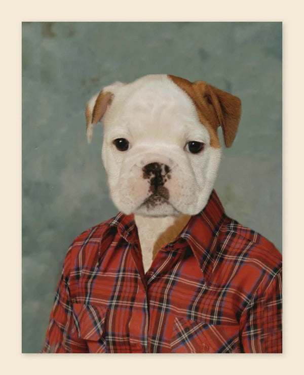Picture Day Notecards 50 9781452118390_1