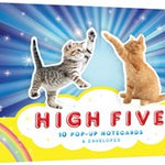 HIGH FIVE: 10 POP-UP NOTECARDS & ENVELOPES - CHRONICLE BOOKS 9781452135656