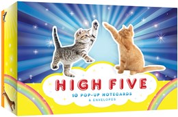 HIGH FIVE: 10 POP-UP NOTECARDS & ENVELOPES - CHRONICLE BOOKS 9781452135656