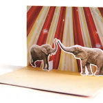 HIGH FIVE: 10 POP-UP NOTECARDS & ENVELOPES - CHRONICLE BOOKS 9781452135656_2