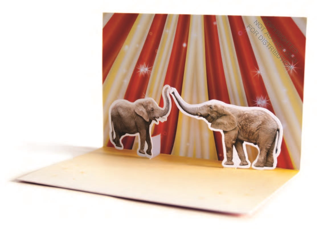 HIGH FIVE: 10 POP-UP NOTECARDS & ENVELOPES - CHRONICLE BOOKS 9781452135656_2