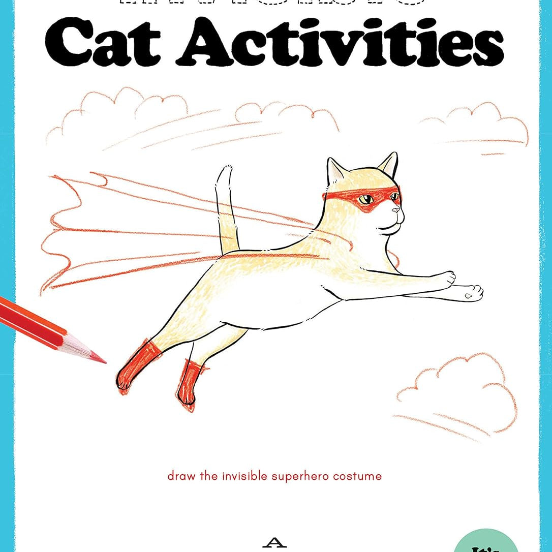 Invisible Cat Actiites by Anevski. Cate 20 9781452161211