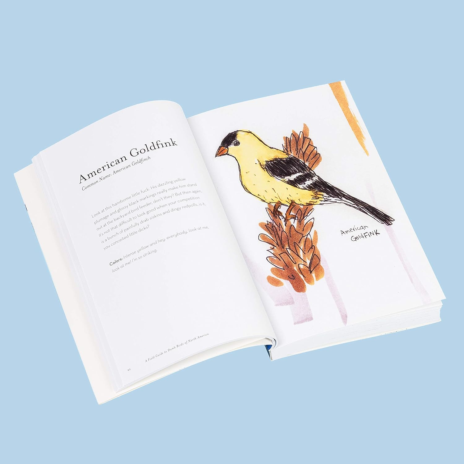 The Field Guide To Dumb Birds Of North America by Kracht. Matt 9781452174037_5