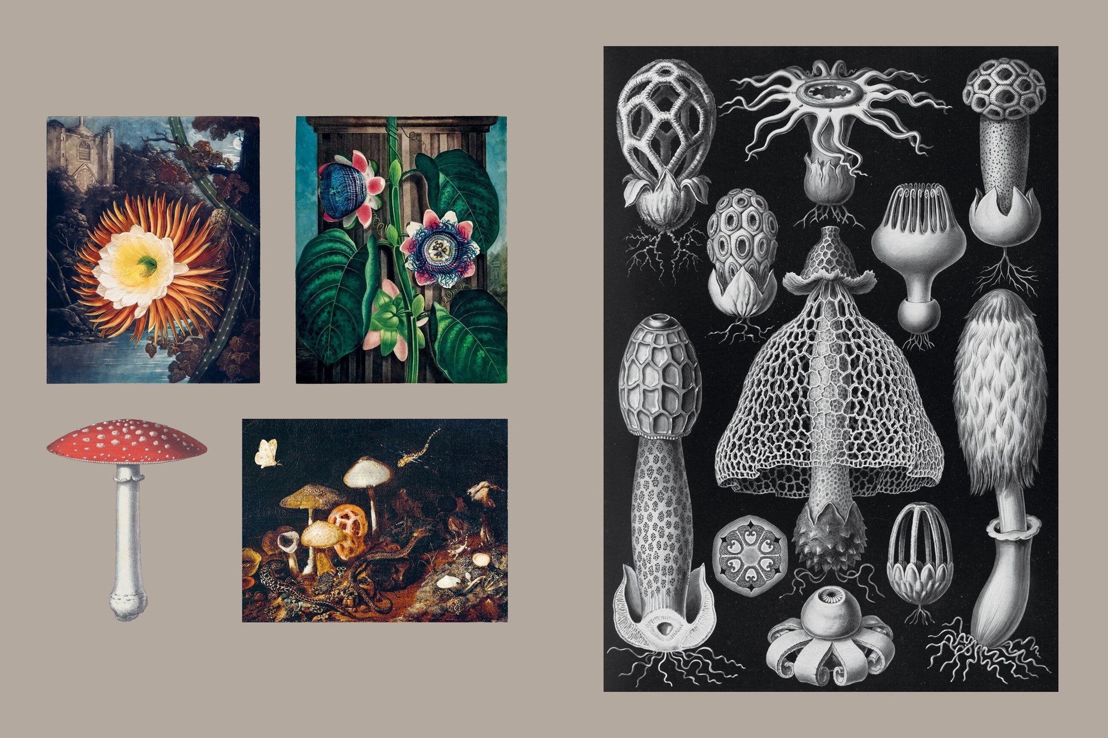 Gothica Sticker Book: More than 400 Mysterious & Mythical Gothic-Inspired Stickers by Union Square 20 9781454962984_3