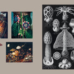 Gothica Sticker Book: More than 400 Mysterious & Mythical Gothic-Inspired Stickers by Union Square 20 9781454962984_3