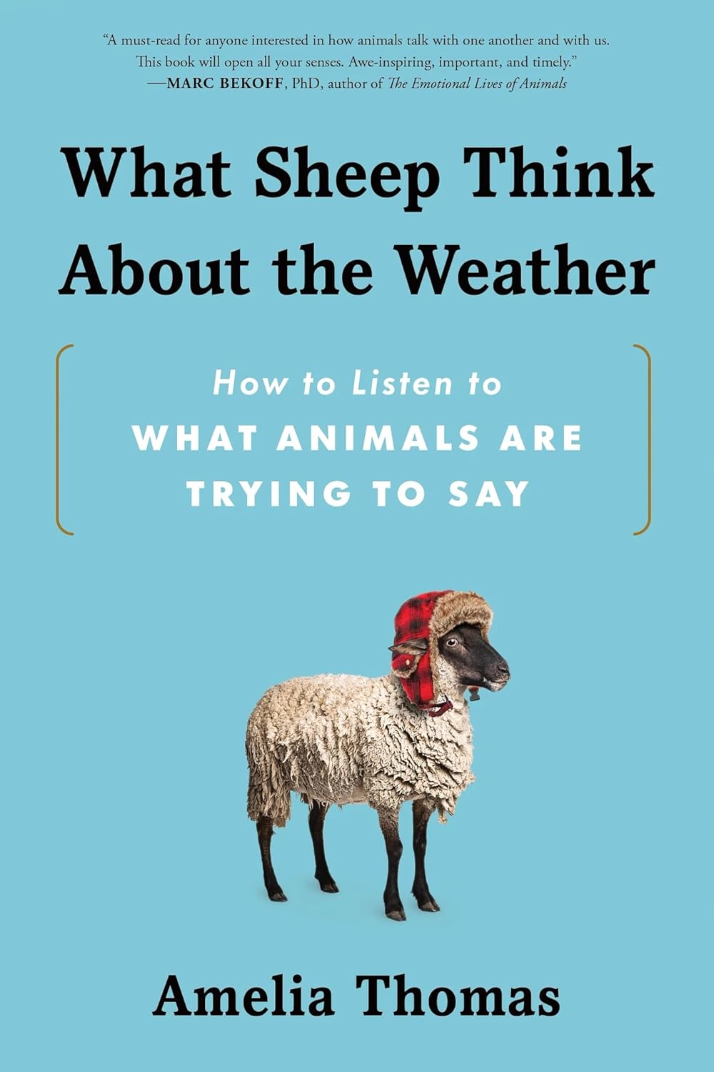 What Sheep Think About The Weather by Thomas. Amelia 9781464218453