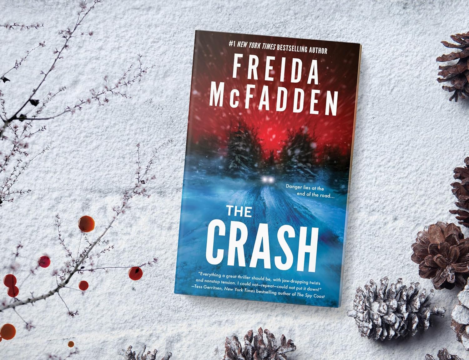 The Crash by Mcfadden. Freida 9781464227325_1