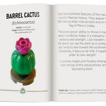 Lego Botanicals: Tiny Desert Garden 9781464231353_3