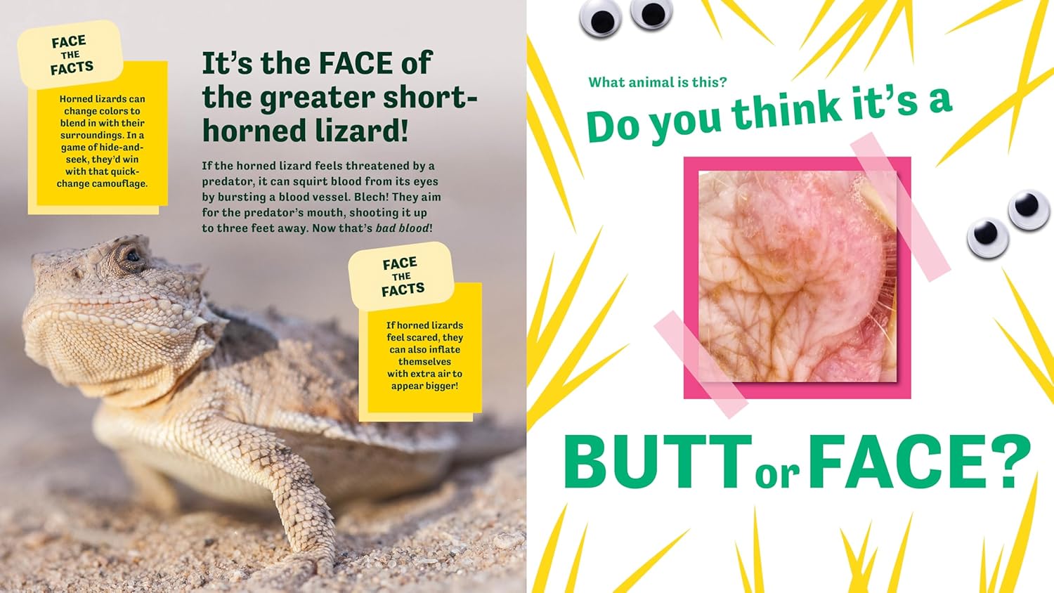 Butt Or Face? Volume 3: Super Gross Butts by Lavelle. Kari 9781464233036_2