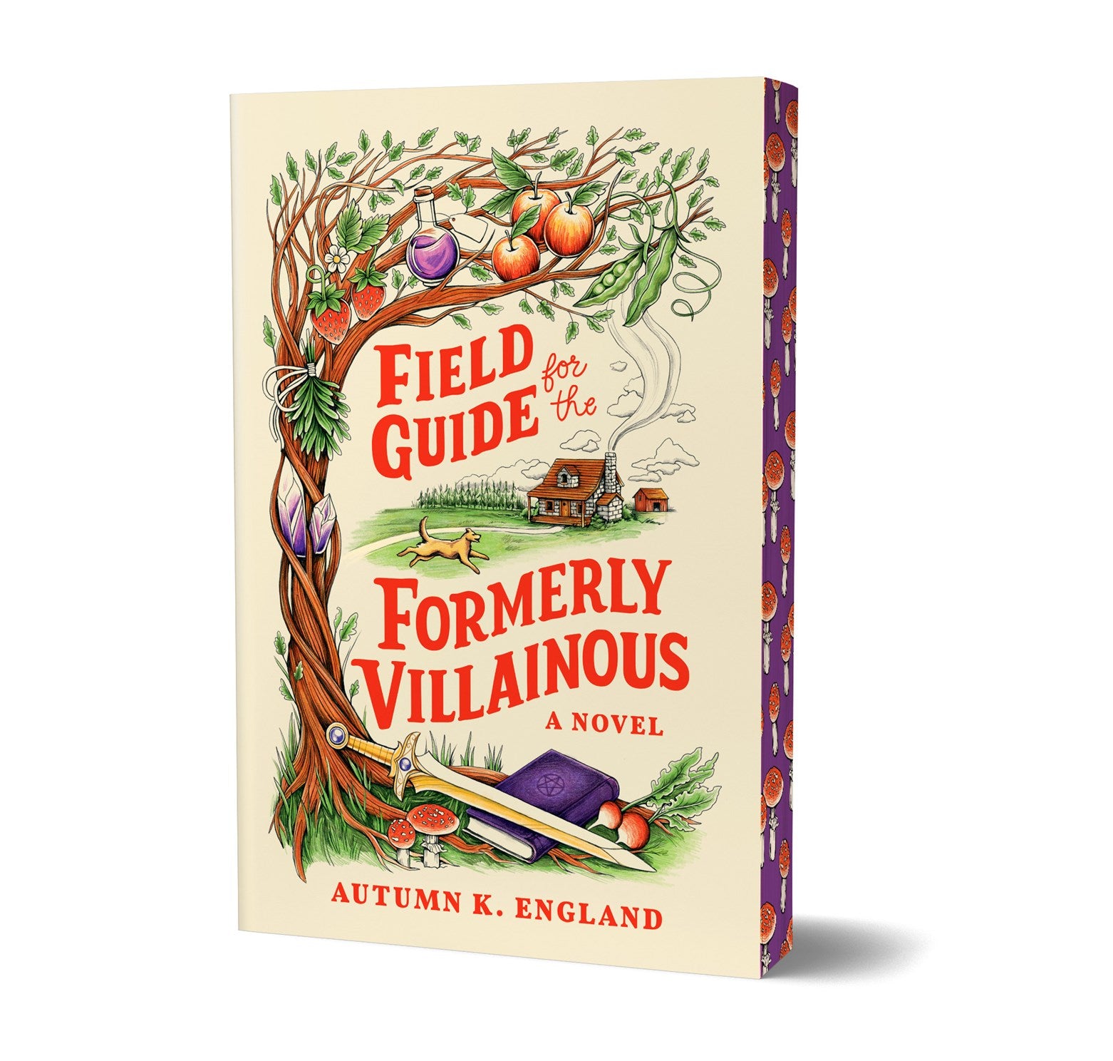 Field Guide for the Formerly Villainous (Deluxe Edition) (Everyday Magic #1) by England. Autumn K 20 9781464243301