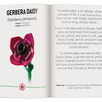 Lego Botanicals: Tiny Wildflower Boquet 9781464245367_2