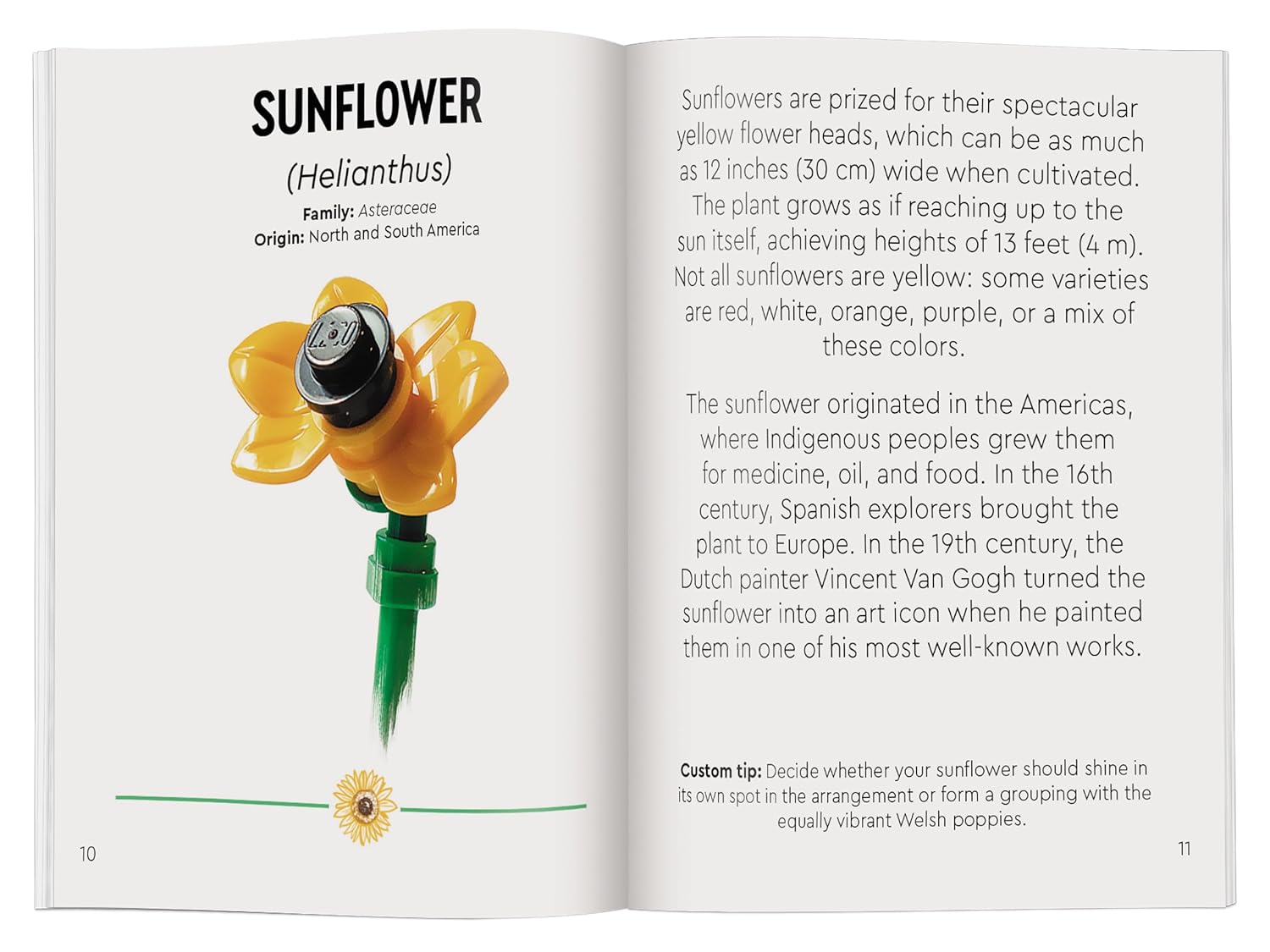 Lego Botanicals: Tiny Wildflower Boquet 9781464245367_3