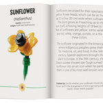 Lego Botanicals: Tiny Wildflower Boquet 9781464245367_3