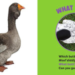 What Butt?: Farm Animals (Board Book) by Lavelle. Kari 20 9781464255205_3