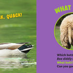 What Butt?: Farm Animals (Board Book) by Lavelle. Kari 20 9781464255205_4