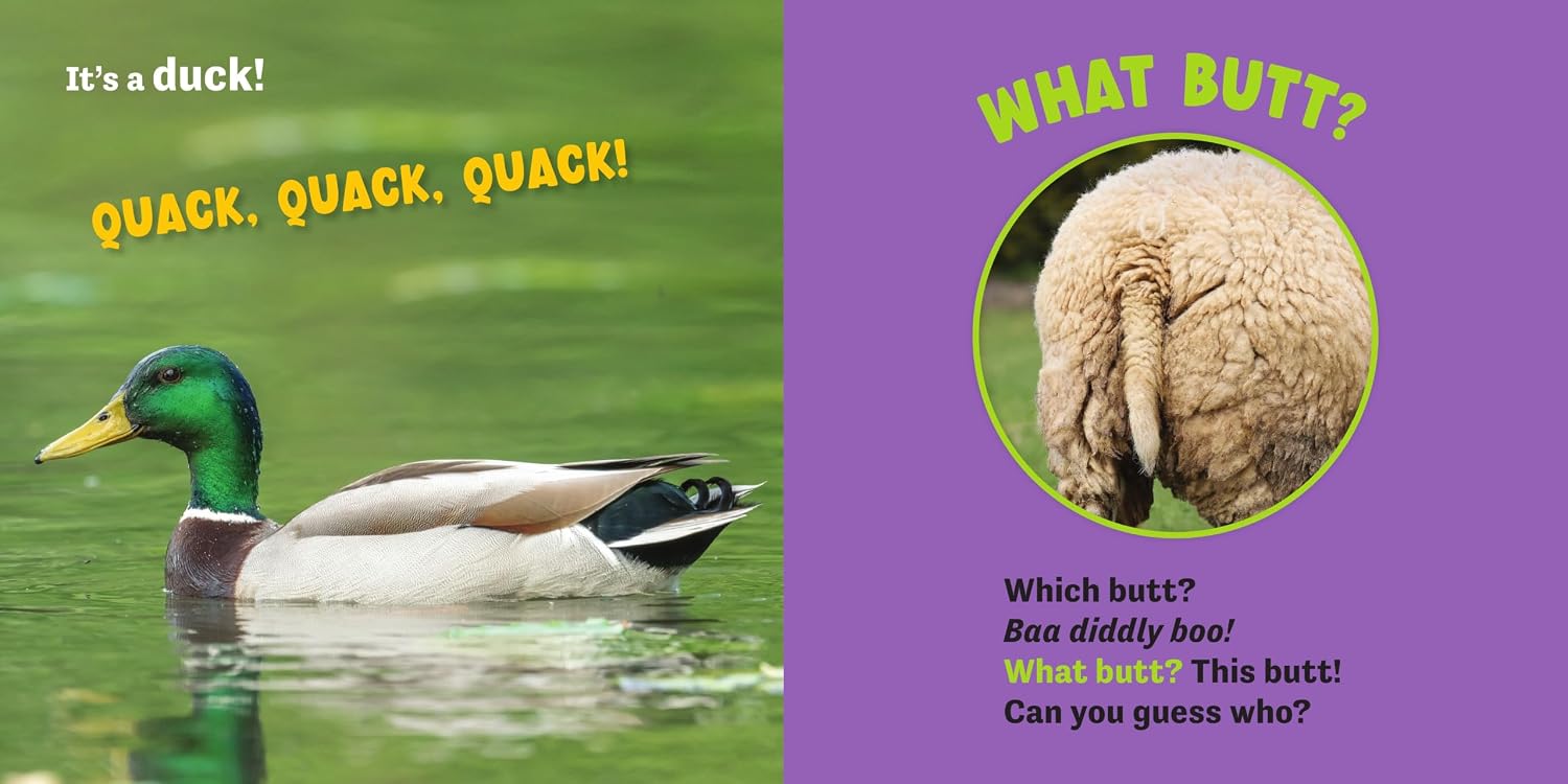 What Butt?: Farm Animals (Board Book) by Lavelle. Kari 20 9781464255205_4
