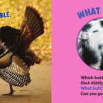 What Butt?: Farm Animals (Board Book) by Lavelle. Kari 20 9781464255205_5