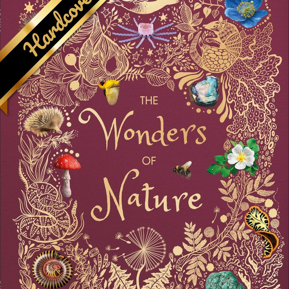The Wonders Of Nature by Hoare. Ben 9781465485366_e1195049-a2fa-46ae-a875-7bd920fea508