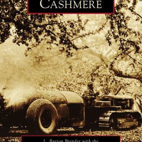 Cashmere -Brender. L. Burton 9781467103664_73d943a6-137b-4f20-8003-0b51ec3434cc