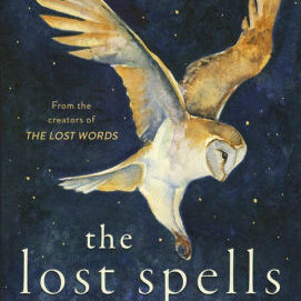 The Lost Spells by Macfarlane. Robert ; Morris. Jackie 9781487007799_d2428b5f-712d-4745-ac14-7947bbca67f0