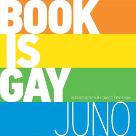 THIS BOOK IS GAY - DAWSON. JUNO ; LEVITHAN. DAVID 9781492617839_d17ccd9d-b7bc-4348-ae40-bc13268eb83c